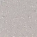 Shooting Star
