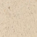 Desert Storm