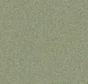 Herb Green