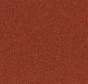 Terra Cotta