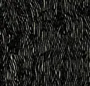 Zebra Muse