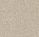 Sand Dune