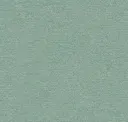 Seafoam