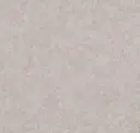 Cosmic Latte