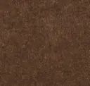 Bad Dog