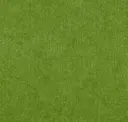 Inchworm