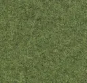 A Moss For Words