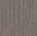 Nickel Persimmon