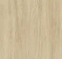Mojave