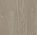 Cedar