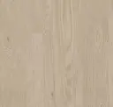 Vetiver