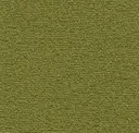 Alder