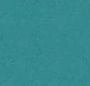 Wave
