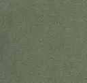 Silver Green