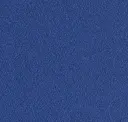 Blue Bird