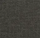 Dark Olive