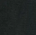 Noche