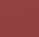Beet