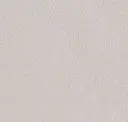 Iron