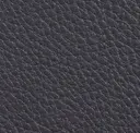 Gunmetal