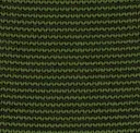 Cacti