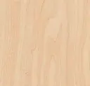 Manitoba Maple