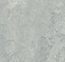 Dove Grey