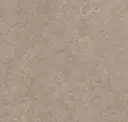 Sparrow