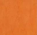 Mandarin