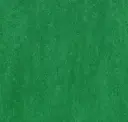 Moss