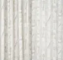 Frost