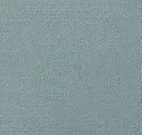 Light Aqua