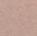 Praline