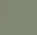 Matte Forest