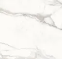 Calacatta Regale