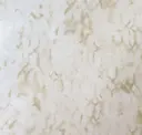 Birch