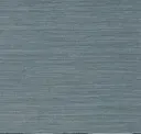 Aegean