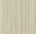 Desert Sand
