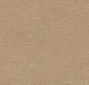 Armadillo