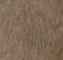 Sycamore