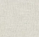 White Seashell