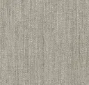 Grey Owl