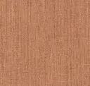 Terracotta Rose