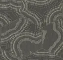 Black Cobra