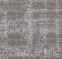 Cadenza