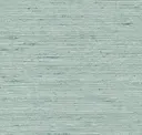 Parakeet