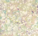 Speckleware