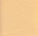 Golden Dunes