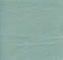 Eucalyptus