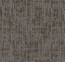 Light Elm